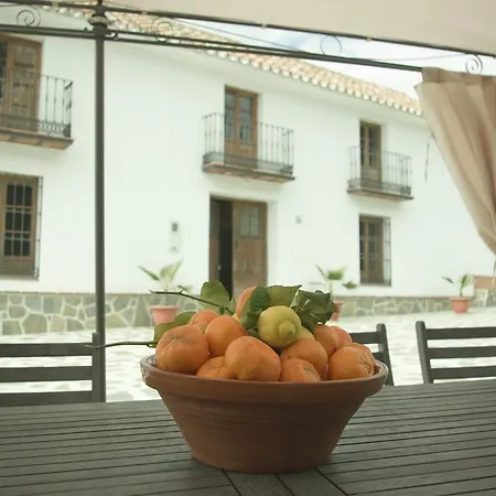 Rural Montes Málaga: Cortijo La Palma Сasa de vacaciones Málaga